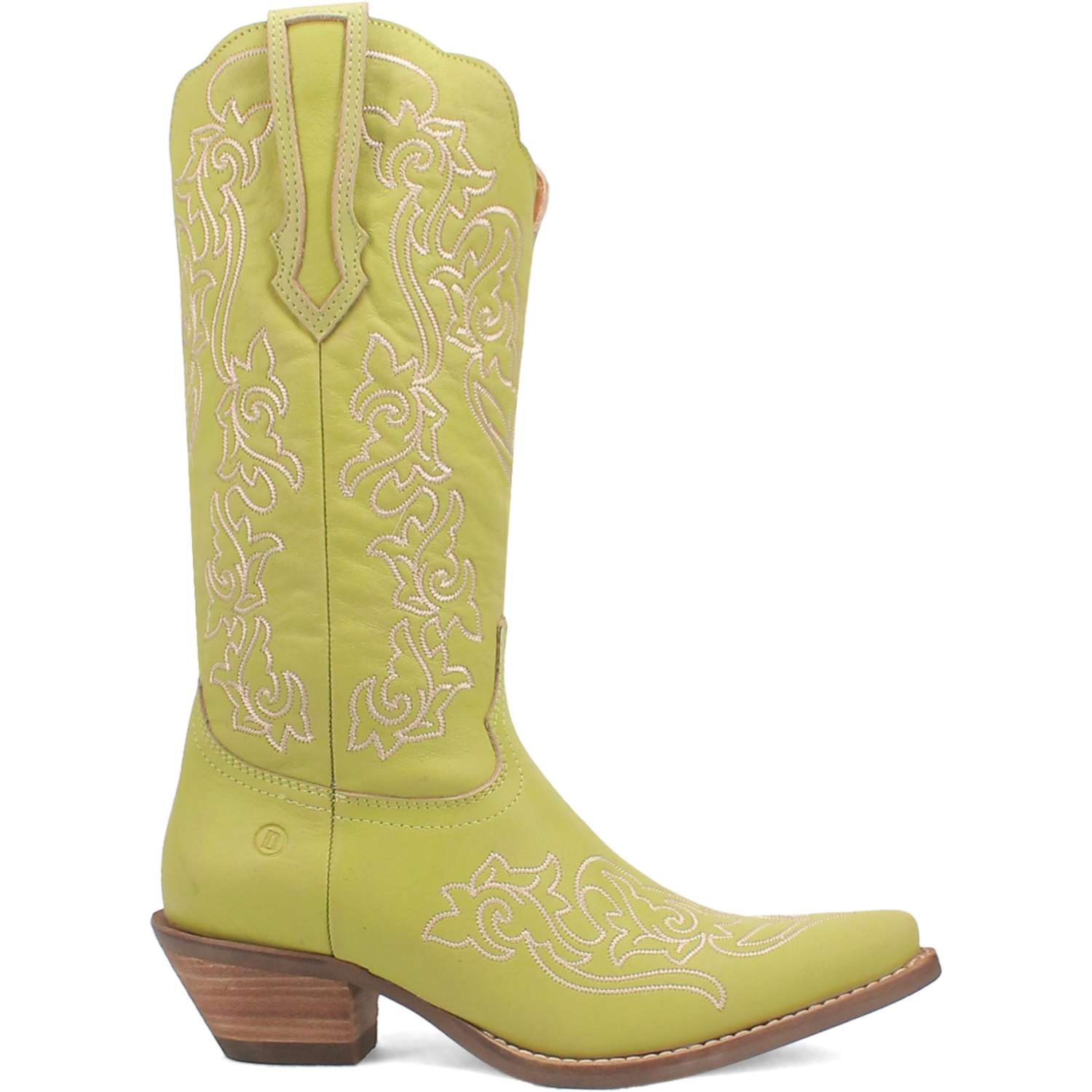 Flirty N' Fun Green Leather Boots (DS)