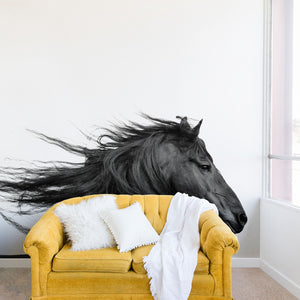 "Ole Wild Horse" Wall Mural (DS)