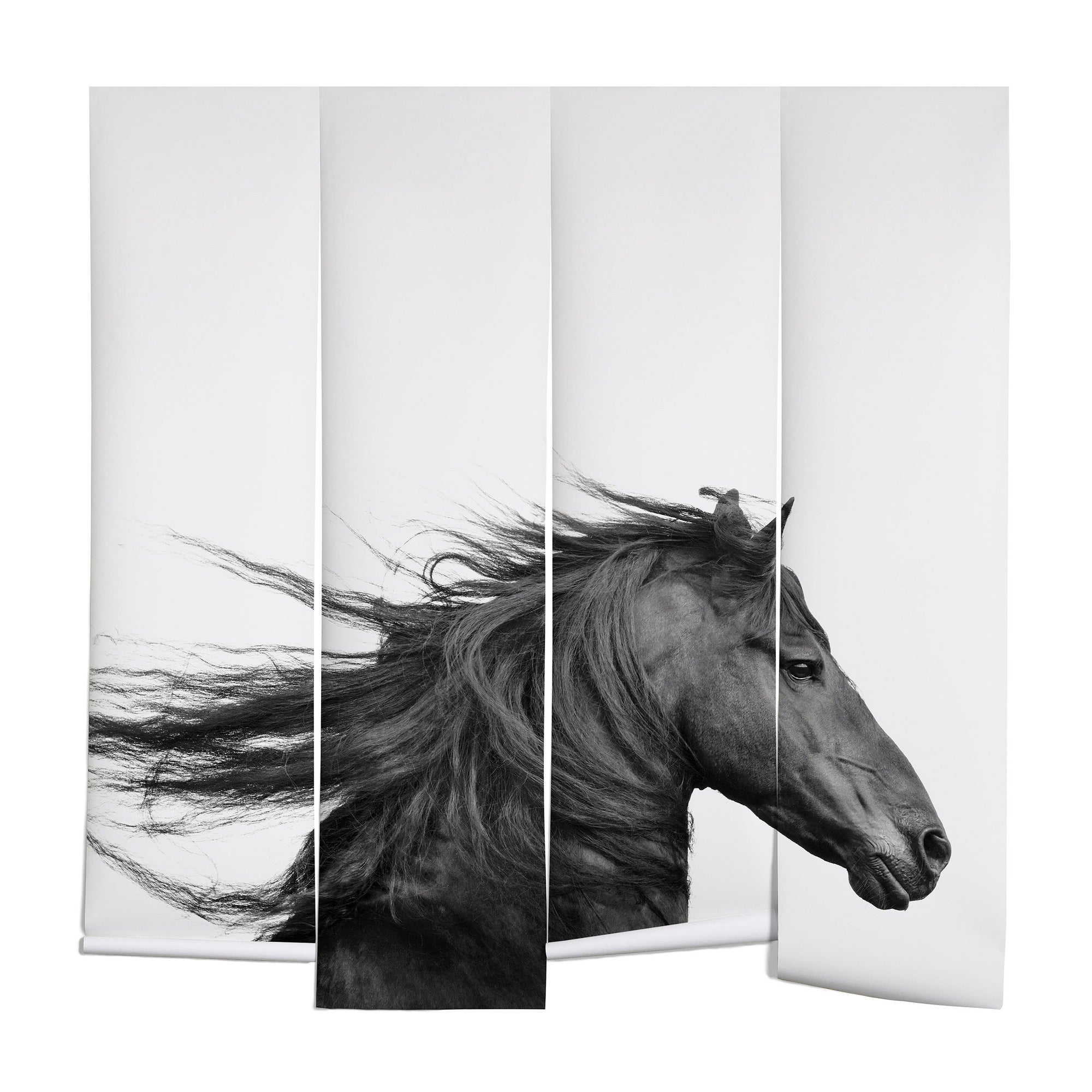 "Ole Wild Horse" Wall Mural (DS)