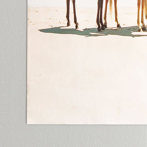 Summer Beach Horses Poster (DS) DD