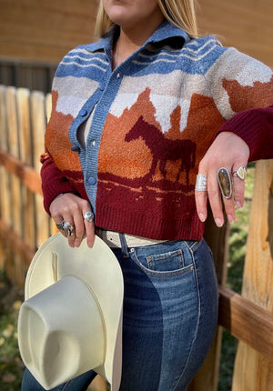 Western Wind Sweater Cardigan