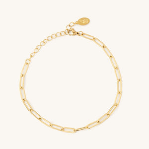 Sasha Paperclip Chain Anklet