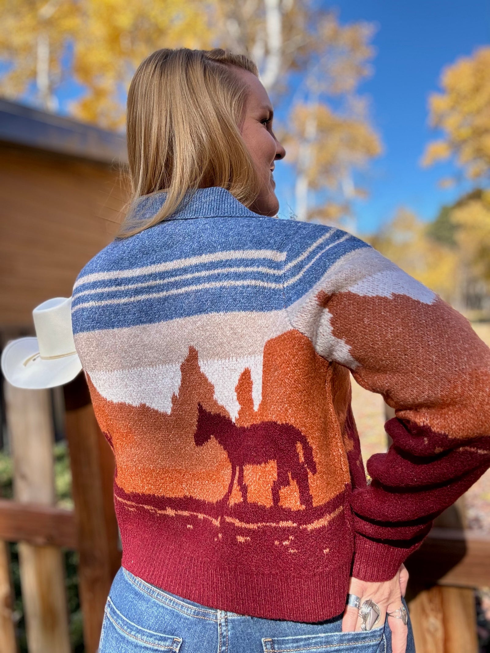 Western Wind Sweater Cardigan