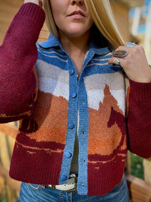 Western Wind Sweater Cardigan