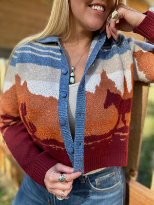 Western Wind Sweater Cardigan