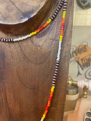 A Little Seedy Western 2 Layer Necklace