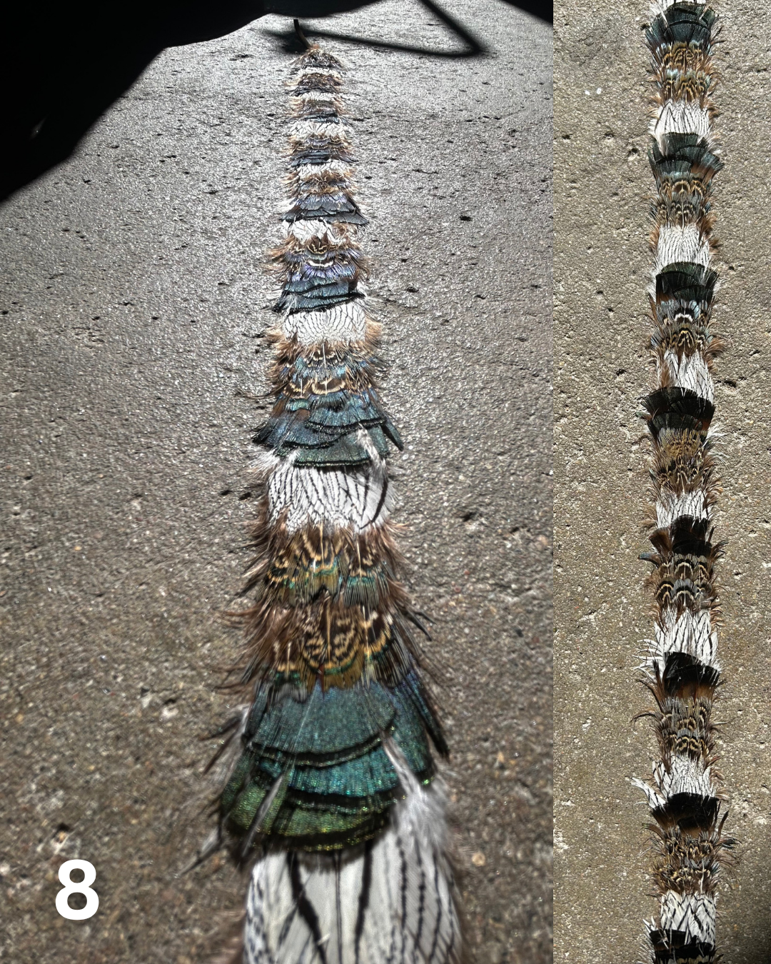 Feather Hat Band (made to order)