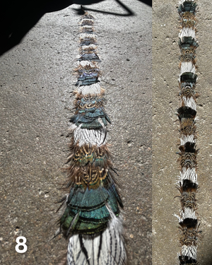 Feather Hat Band (made to order)