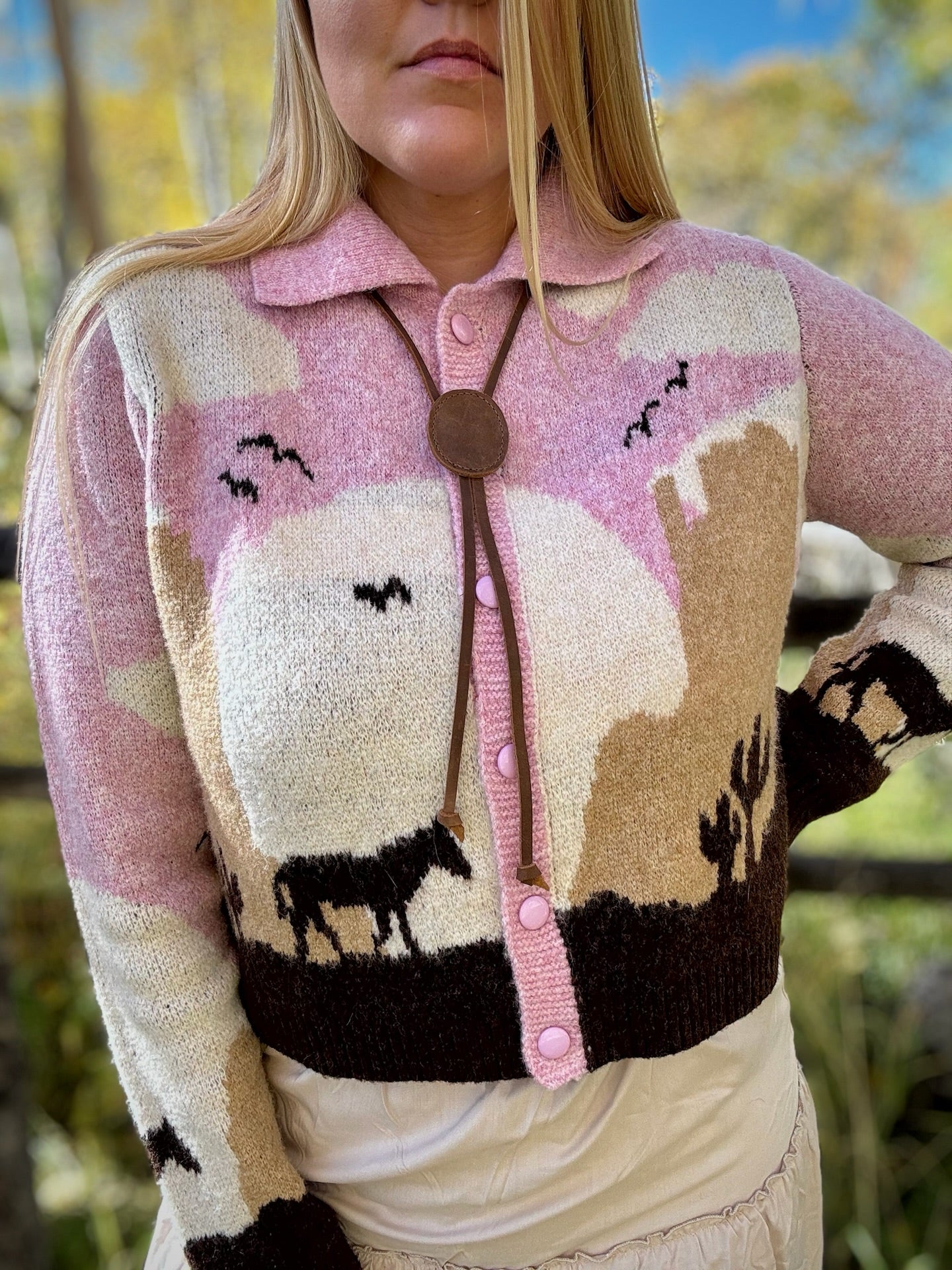 Sunset Canyon Knit Horse Sweater Cardigan - Lil Bee's Bohemian