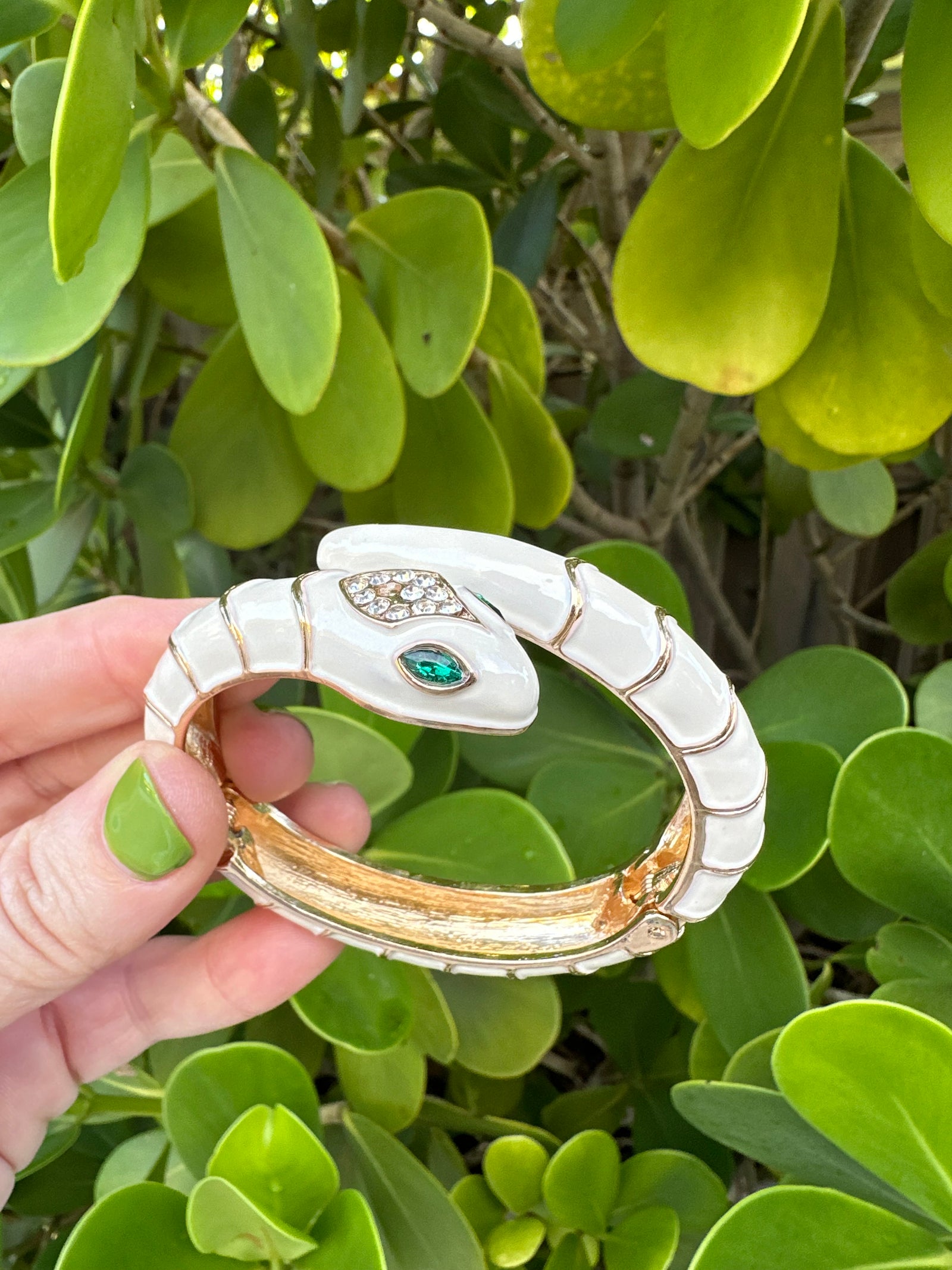 Exotic Kingsnake Cuff Bracelet