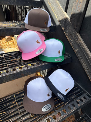 Steamboat Trucker Hat