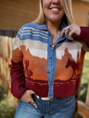 Western Wind Sweater Cardigan