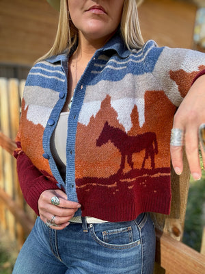 Western Wind Sweater Cardigan