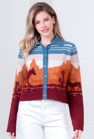 Western Wind Sweater Cardigan is