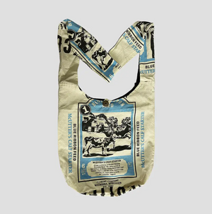Blue Ribbon Hobo Bag