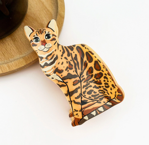Paws & Claws Hair Clip