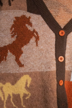 Saddle & Spice Sweater Cardigan