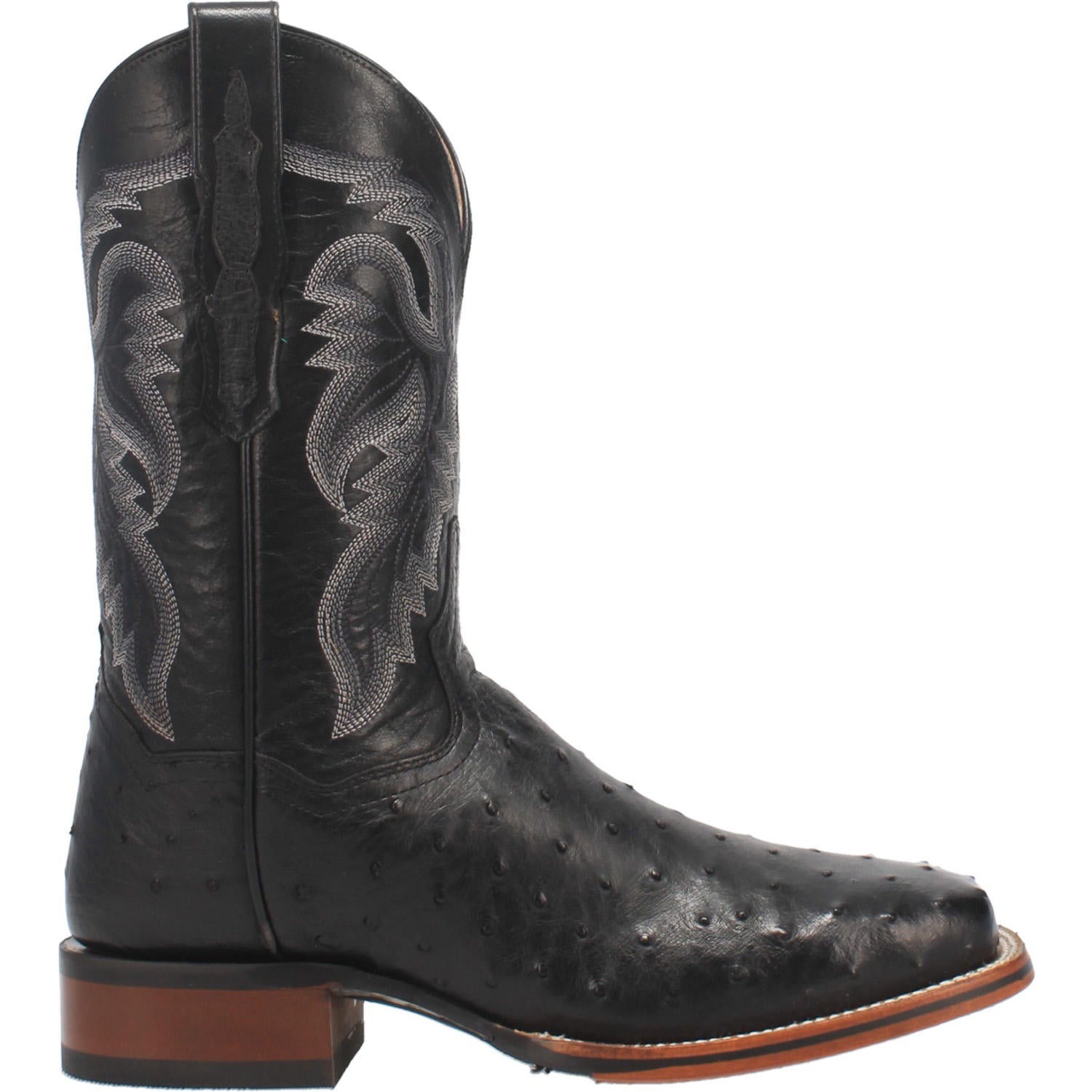 Alamosa Dan Post Men's Boot BLACK (DS)