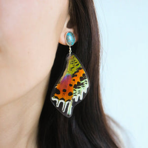 Butterfly Wings // American Turquoise + Sunset Moth Wing Earrings