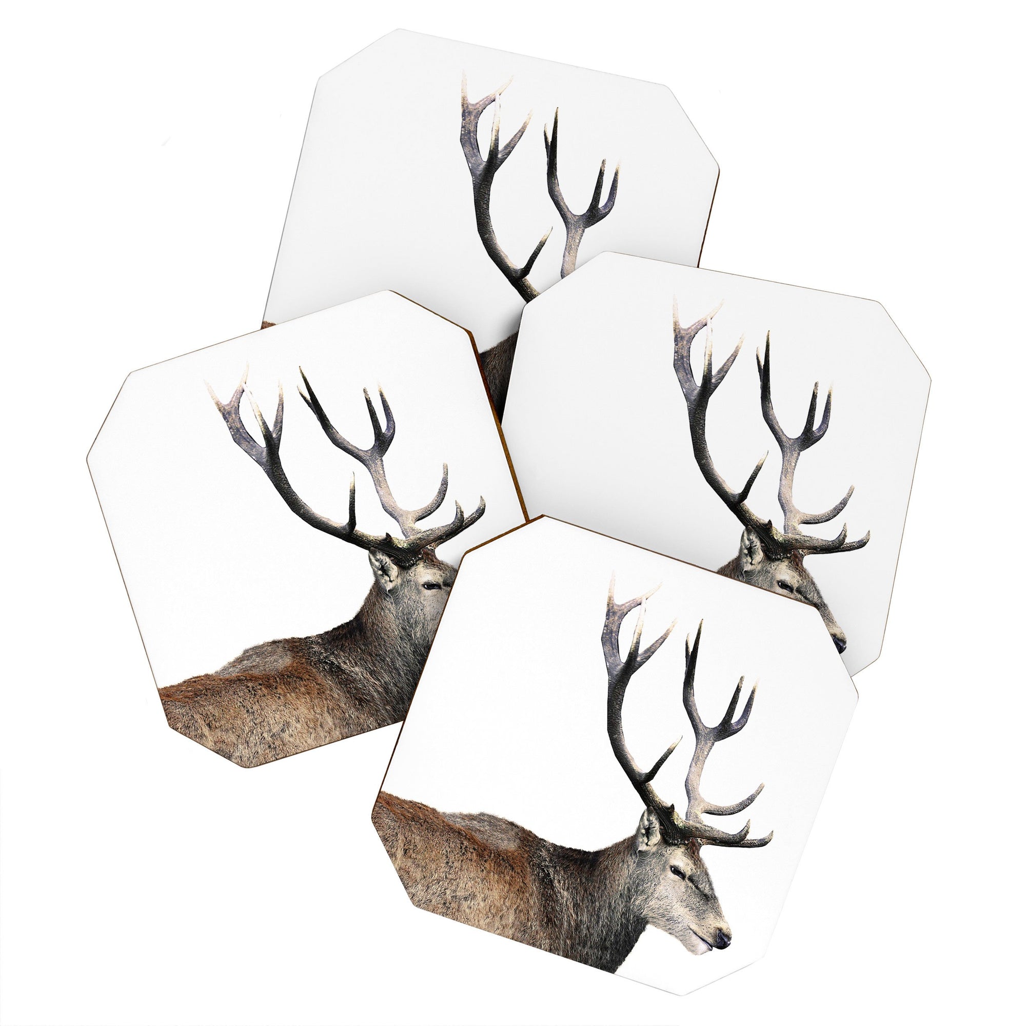 "Ole Oh Deer" 4 Piece Coaster Set (DS)