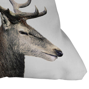 "Ole Oh Deer" Indoor / Outdoor Throw Pillows (DS)