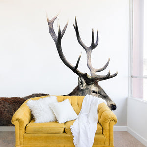 "Ole Oh Deer" Wall Mural (DS)