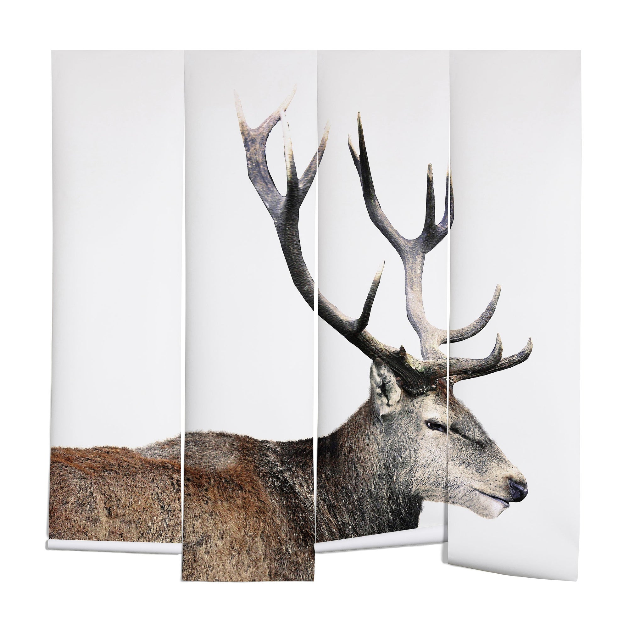 "Ole Oh Deer" Wall Mural (DS)