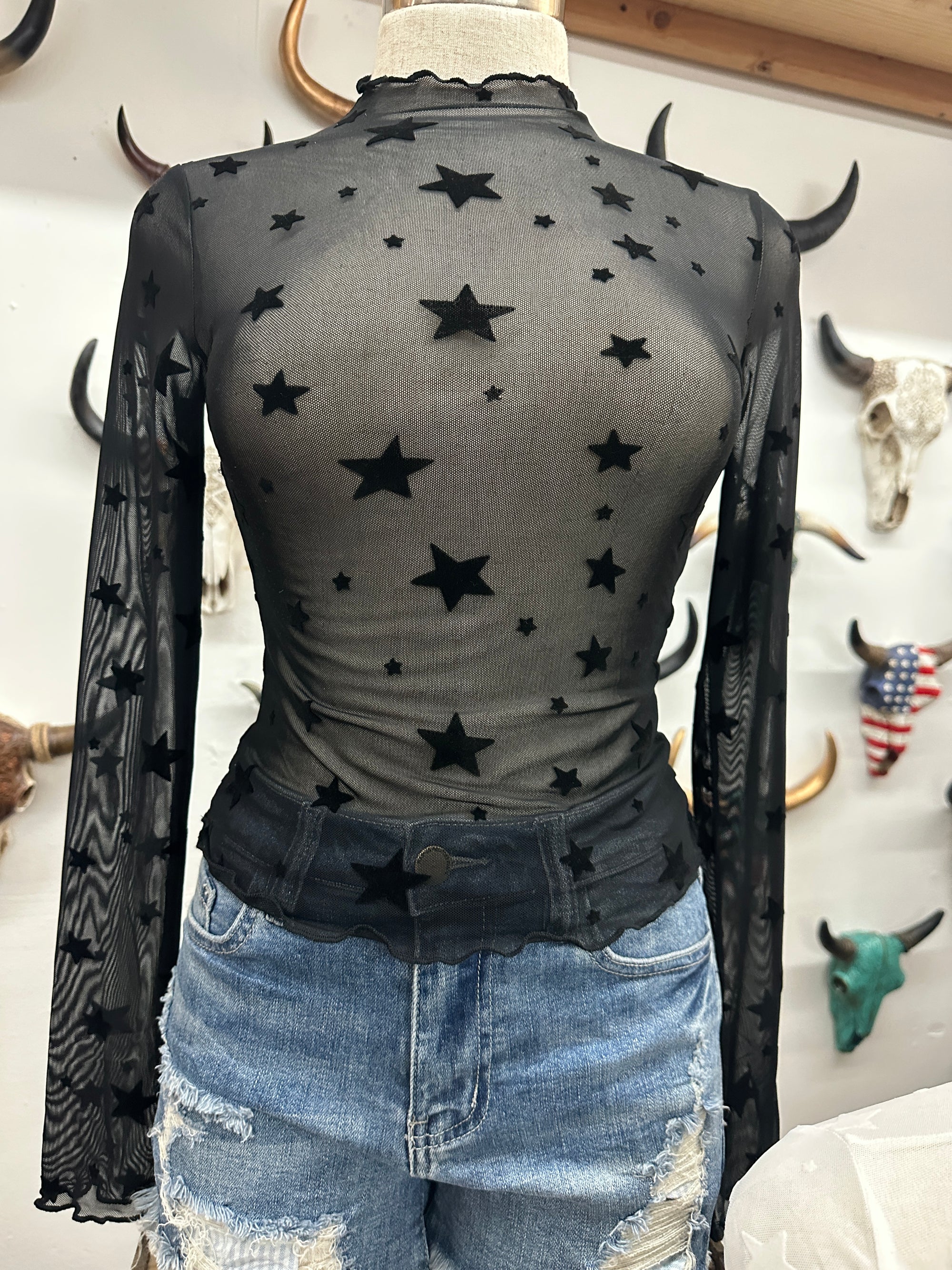 Star Of The Show Long Sleeve Star Print Mesh Top