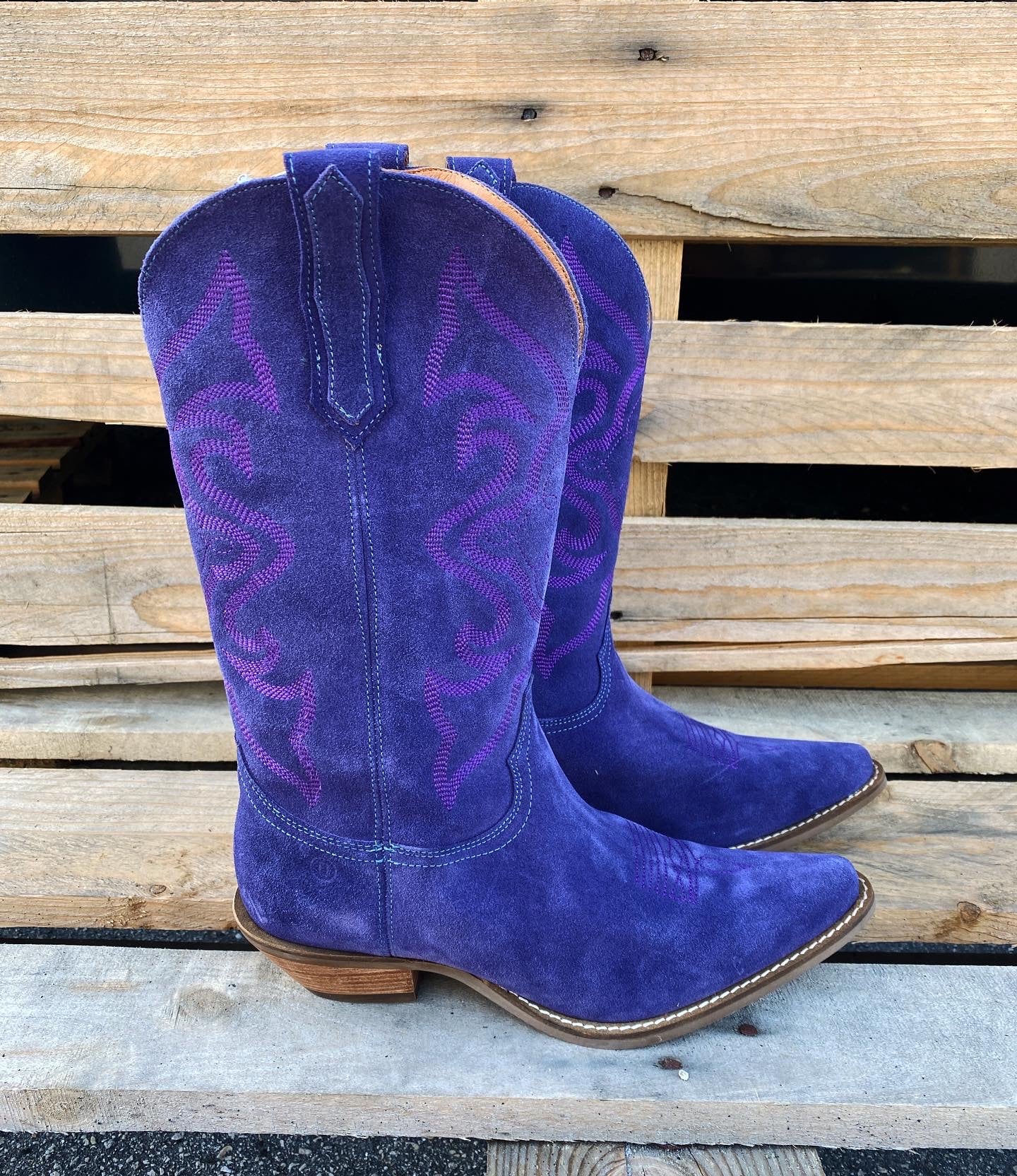 Homeward Bound Plum Suede Boots (DS)