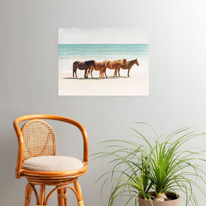 Summer Beach Horses Poster (DS) DD