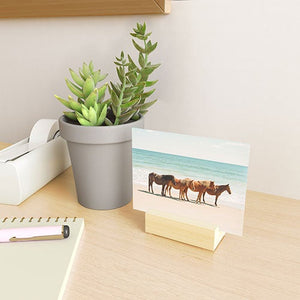 Summer Beach Horses Mini Art Print (DS) DD