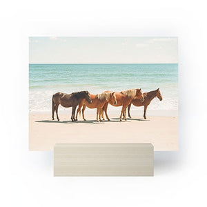 Summer Beach Horses Mini Art Print (DS) DD