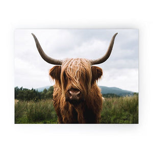 Scottish Highland Mini Art Print (DS) DD