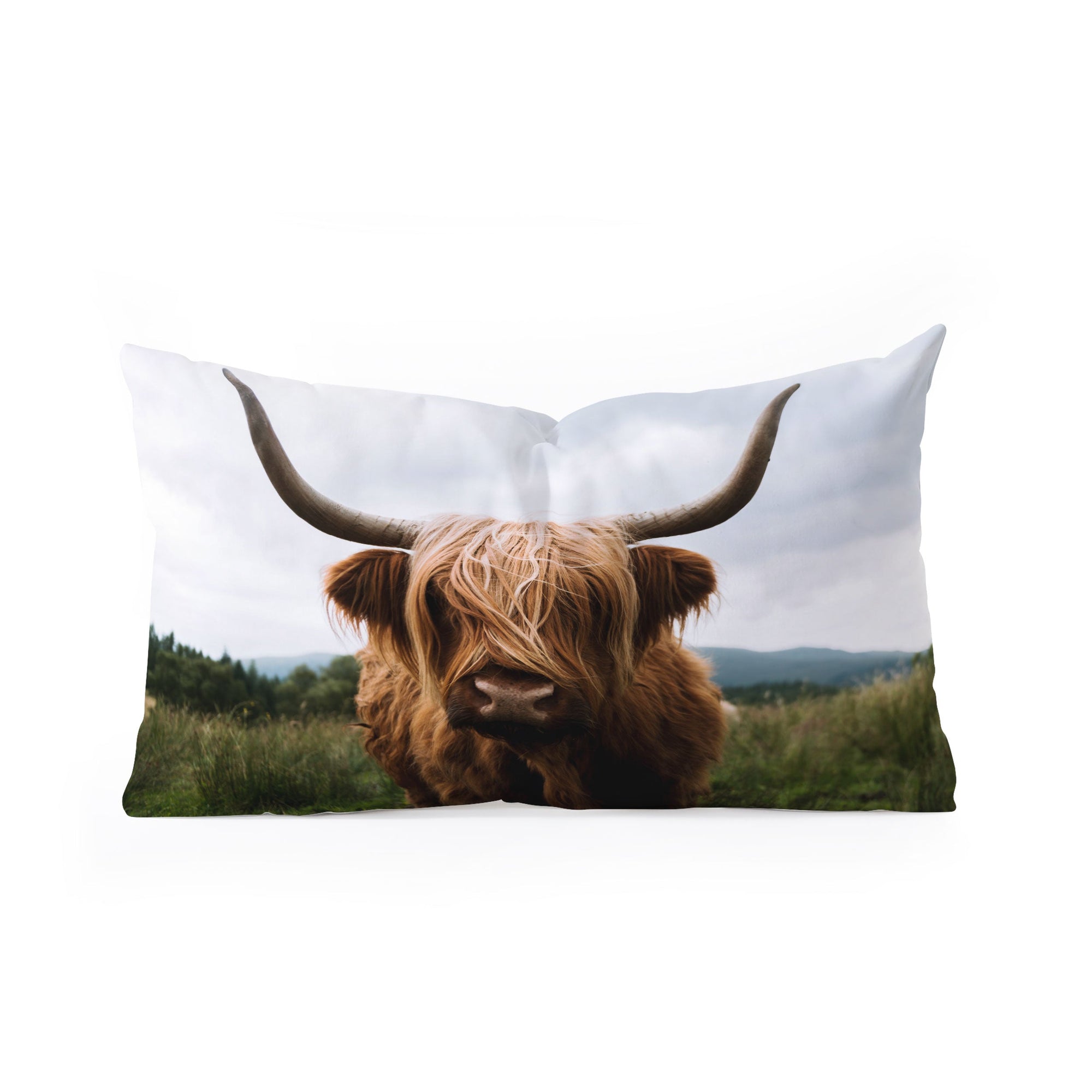 Scottish Highland Oblong Throw Pillow (DS) DD