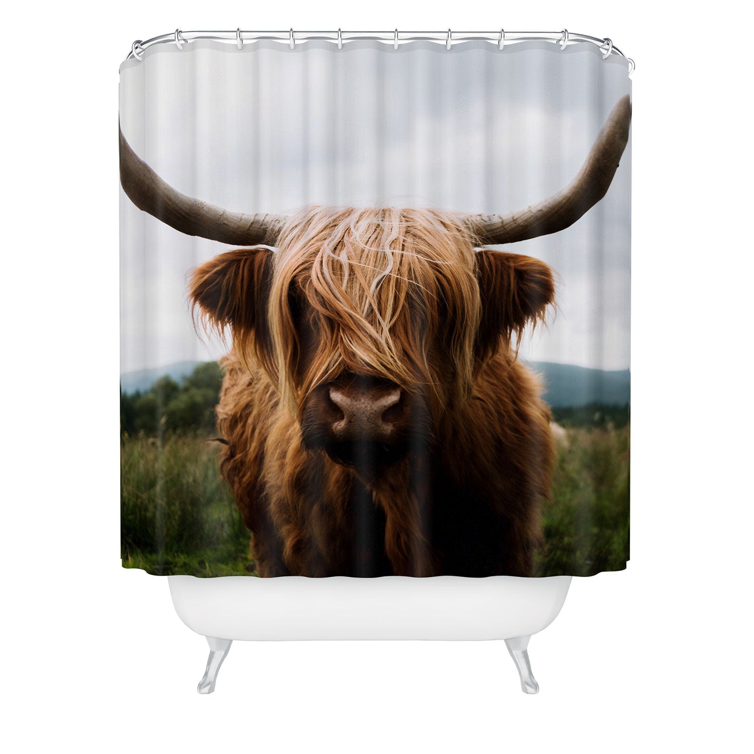 Scottish Highland Cattle Shower Curtain (DS)