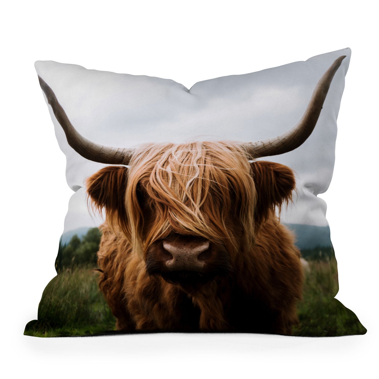 Scottish Highland Indoor / Outdoor Throw Pillows (DS) DD