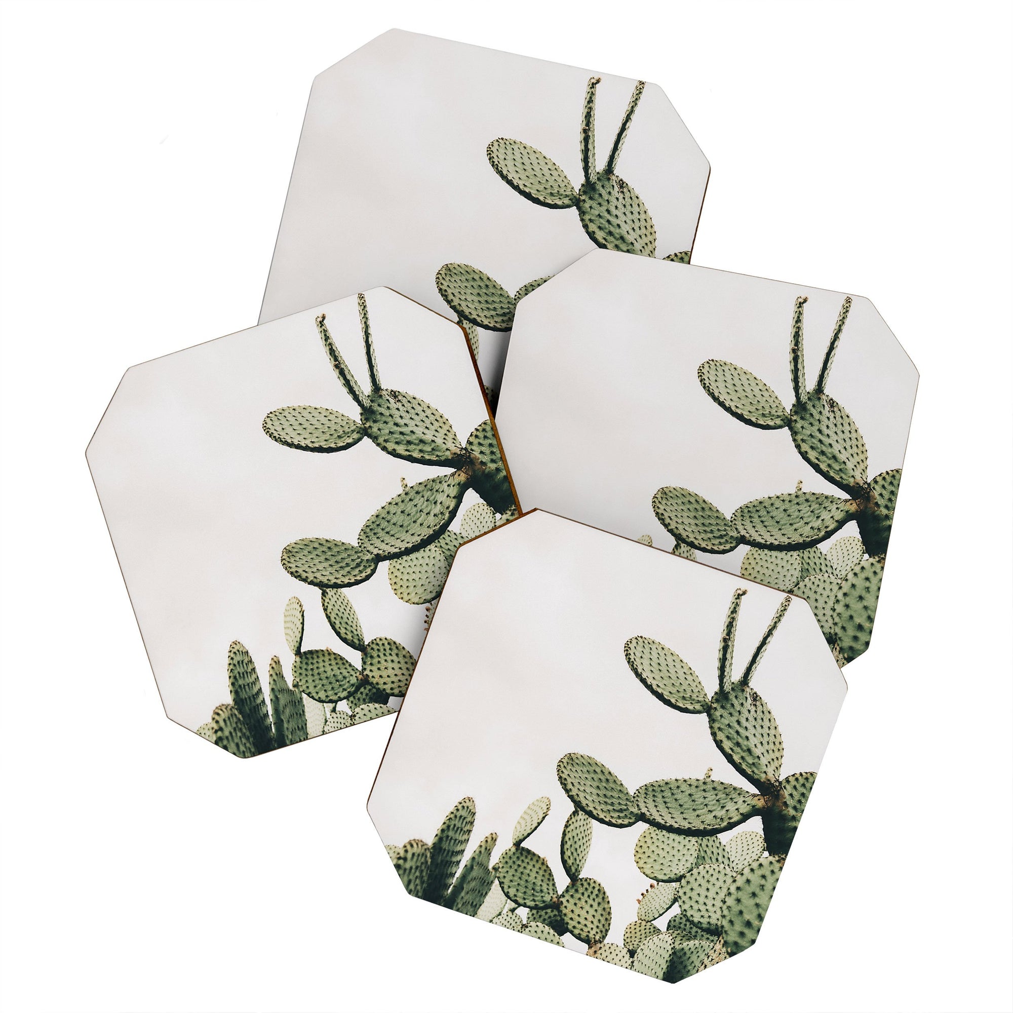 "Ole Clear Day Cactus" 4 Piece Coaster Set (DS)