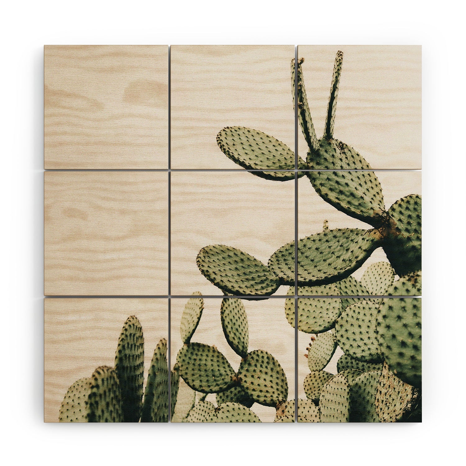 Clear Day Cactus Wood Wall Mural (DS) DD